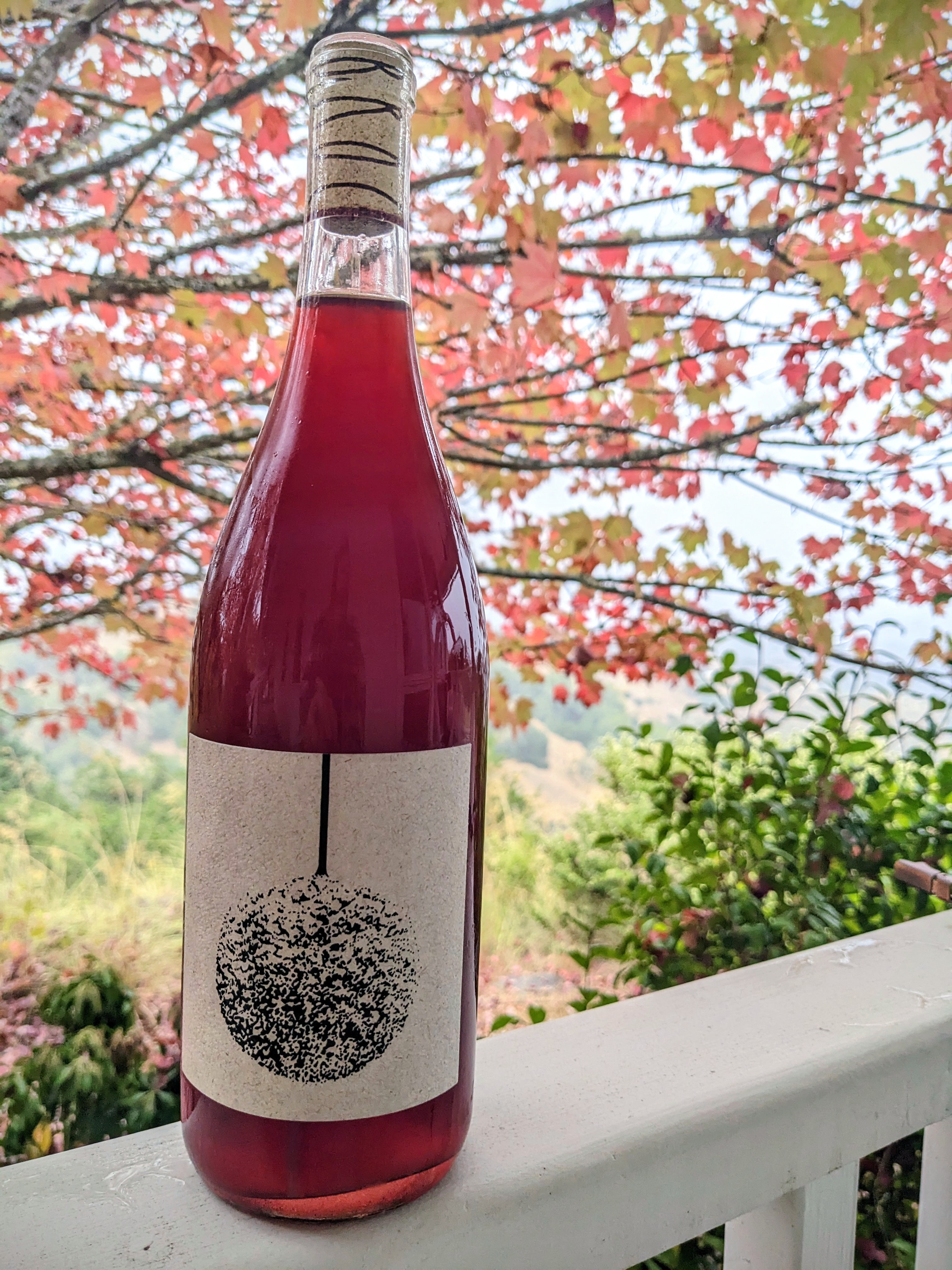 Guide to Cabernet Pfeffer: A Rare Grape that is Captivating California