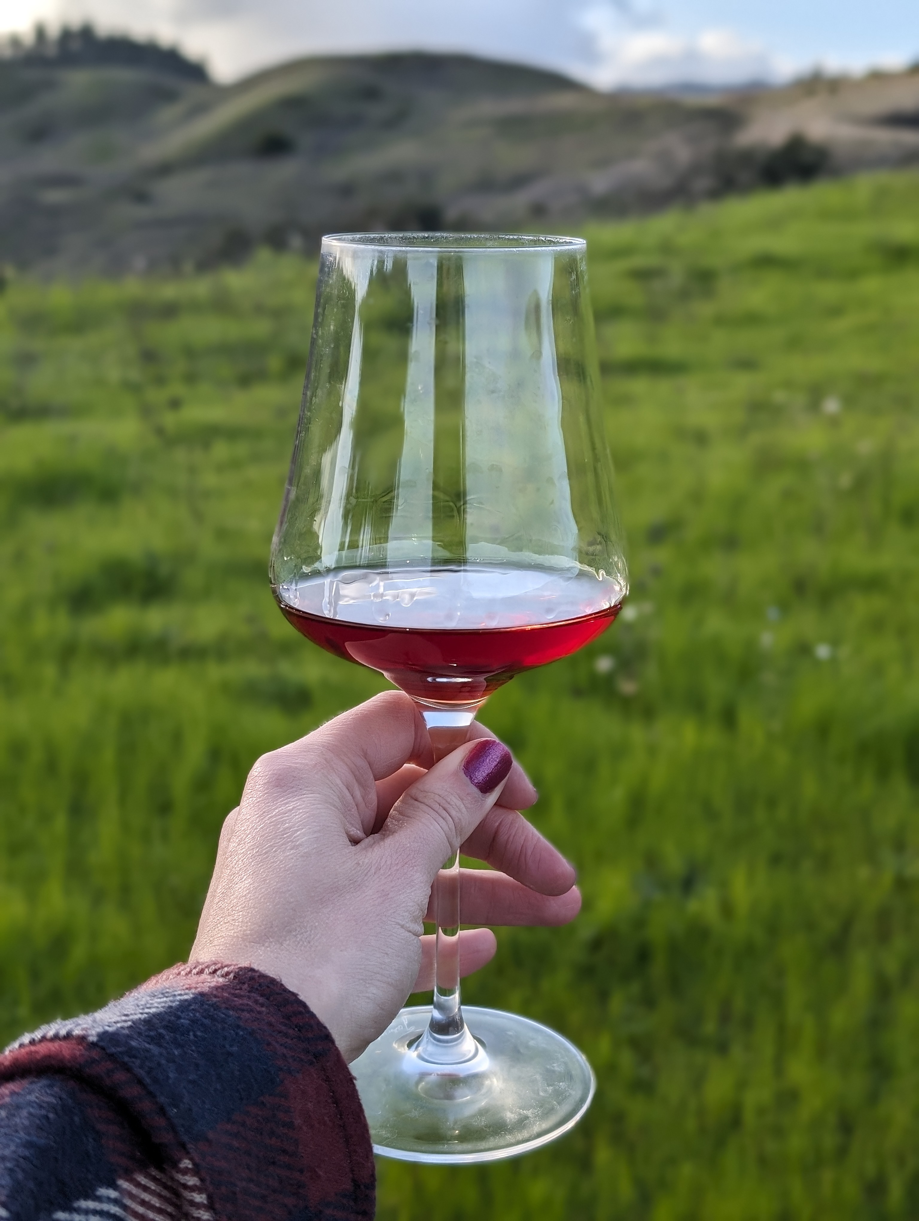 Guide to Counoise: A Rare Grape Makes a Big Splash