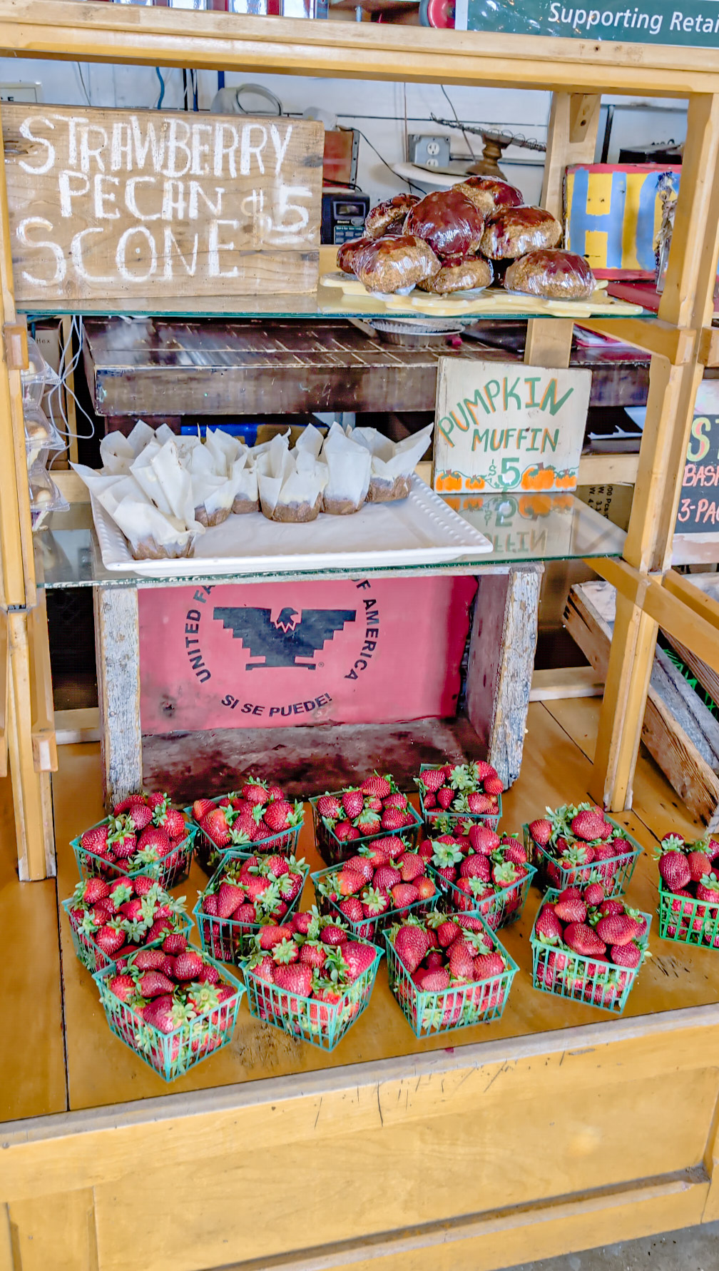 Why Visiting Swanton Berry Farm Always Makes Me Happy